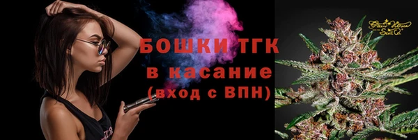 ешки Бронницы