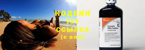 apvp Богданович