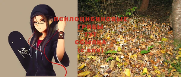 ешки Бронницы