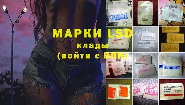 МДПВ Бородино