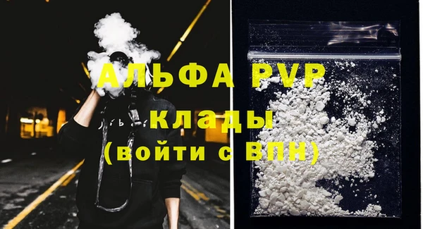 МДПВ Бородино