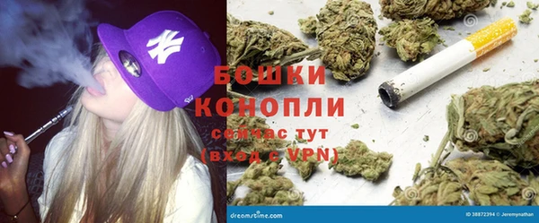 ешки Бронницы