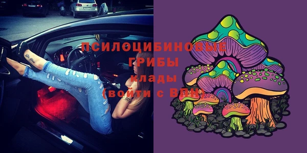 ешки Бронницы